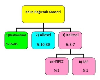 Rektum Kanseri Oluşum Şekilleri